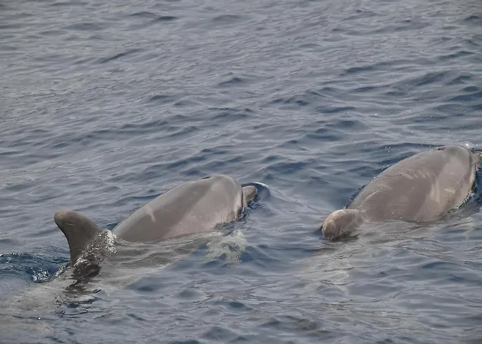 Casa Max Tenerife * La Mareta