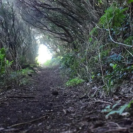 Casa Max Tenerife شقة