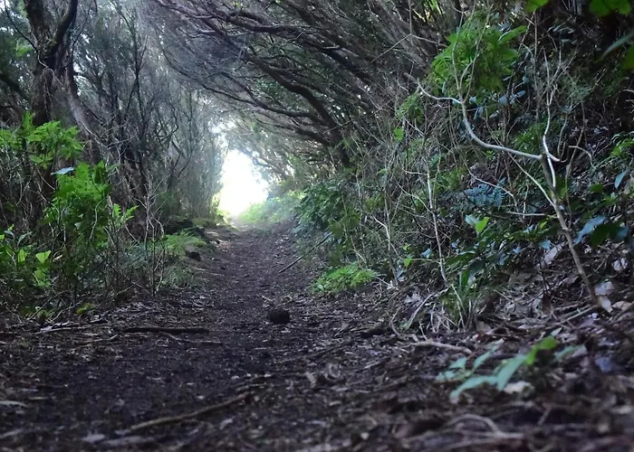 Casa Max Tenerife شقة