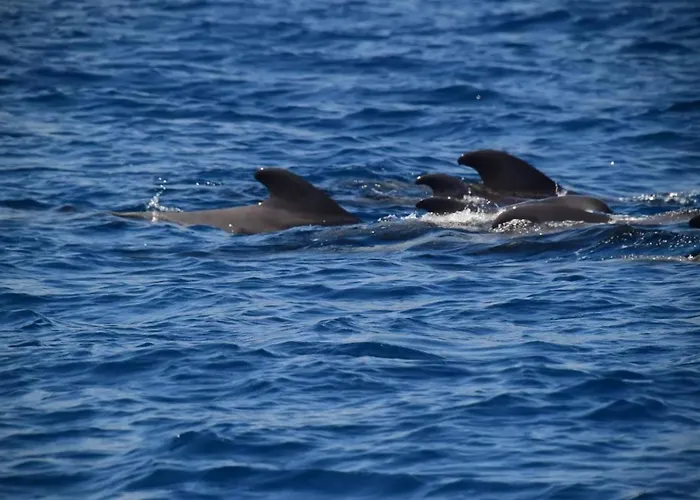 Casa Max Tenerife Apartmán La Mareta